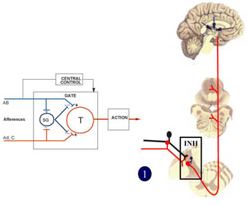 Théorie du portillon