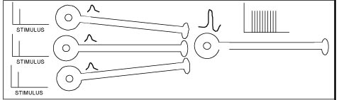 patron d'impulsion nerveuse